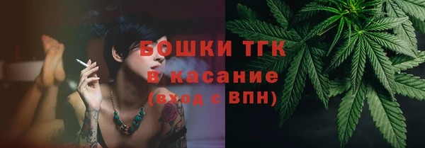 МДПВ Верхний Тагил