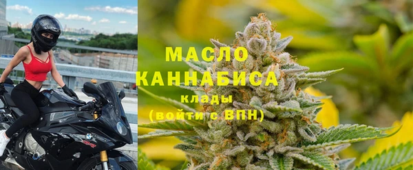 2c-b Бородино