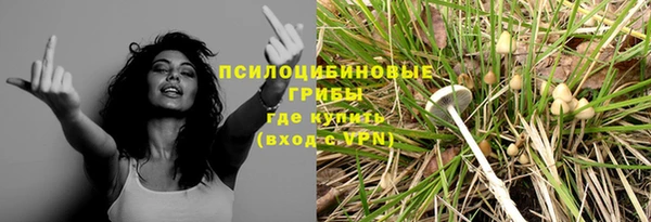 не бодяженный Верея